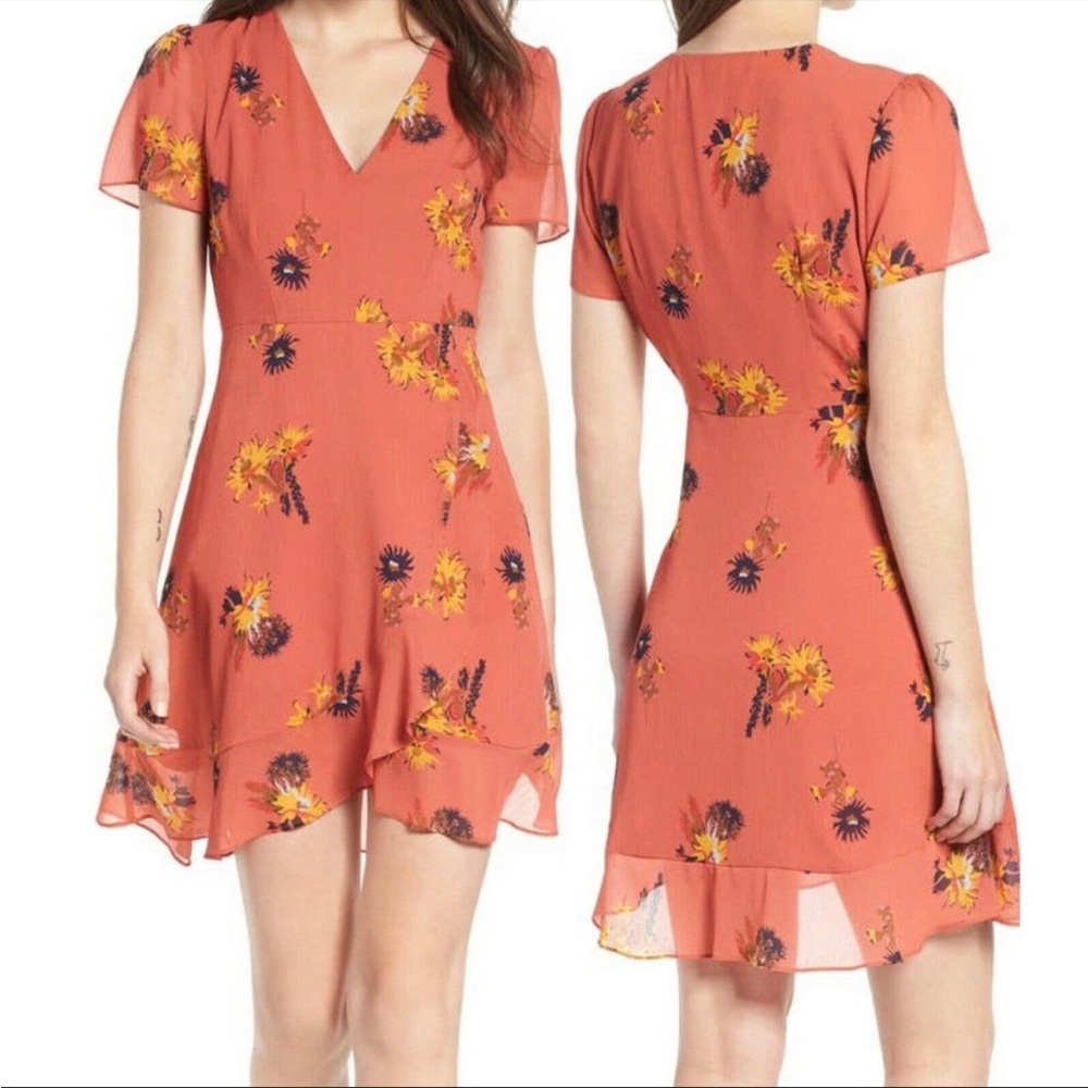 Madewell Posey Cactus Flower Mini Dress in Spiced Rose Size 4 Floral Ruffle
